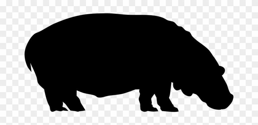 Animal, Hippopotamus, Silhouette, Hippo - Silhouette Nilpferd #1211807