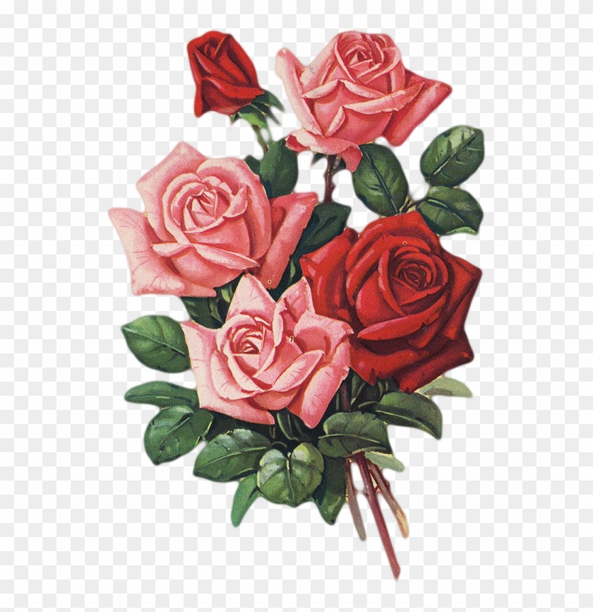 Shabby Chic Flowers, Vintage Flowers, Rose Paintings, - Floribunda #1211818