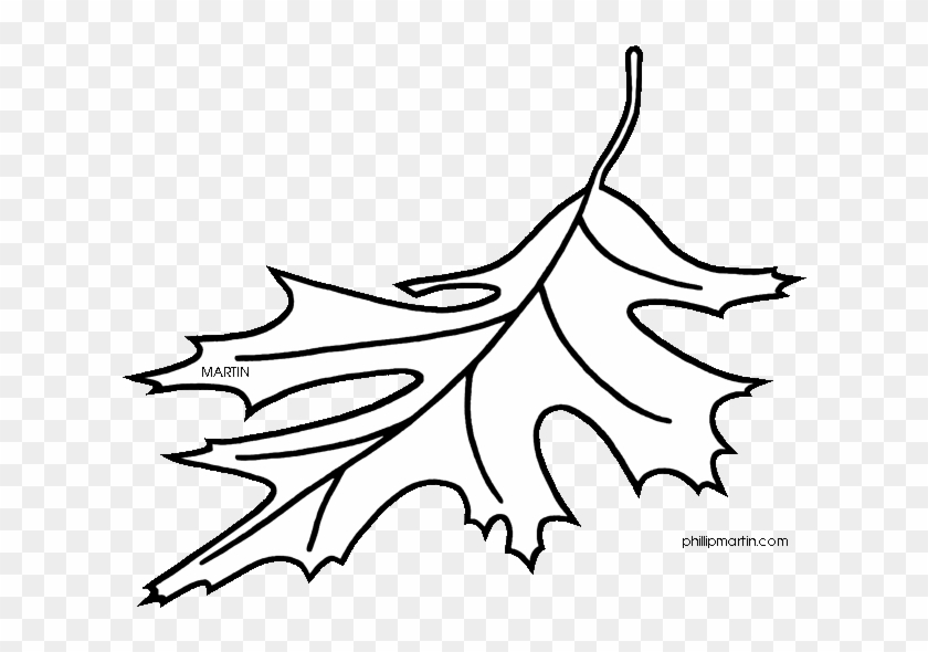 Red Oak Tree Leaves Clipart - Line Art Drawings Of Leaves #1211878