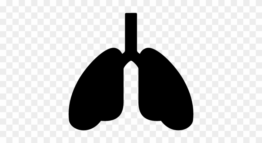 Oxygenation Of Lungs Vector - Pulmones Icono #1211926