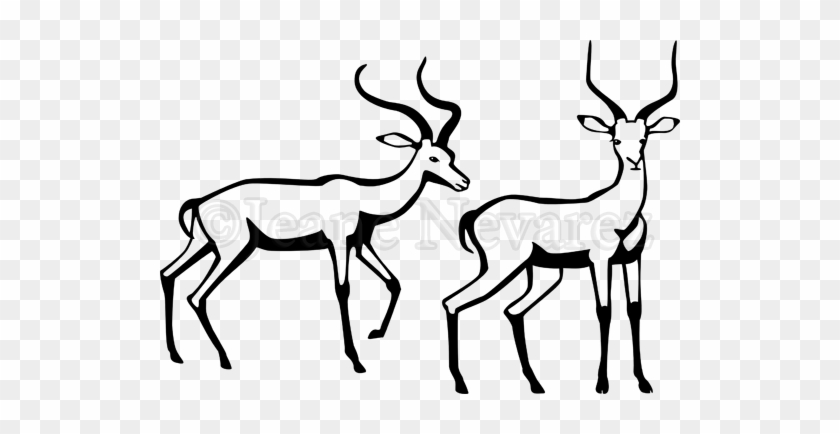 Two Male Impala Antelope In Black And White - Gazelle Vector - Free  Transparent PNG Clipart Images Download