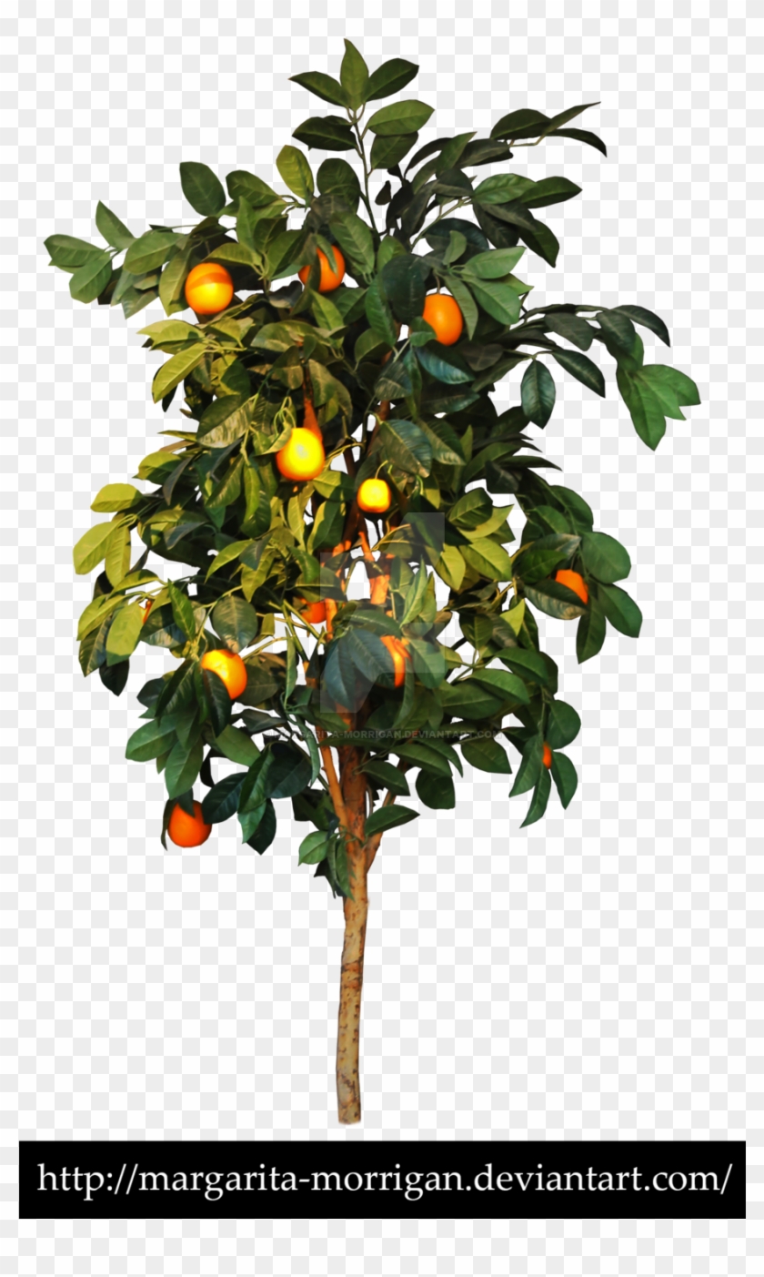 Orange Tree By Margarita Morrigan Orange Tree By Margarita - Cut Out Fruit Tree #1212066
