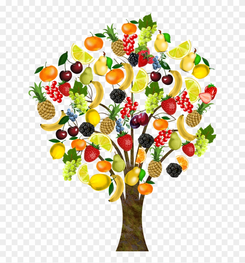 Fruit Fruit Tree Bless You Png Image - Arbol De Frutas Png #1212076