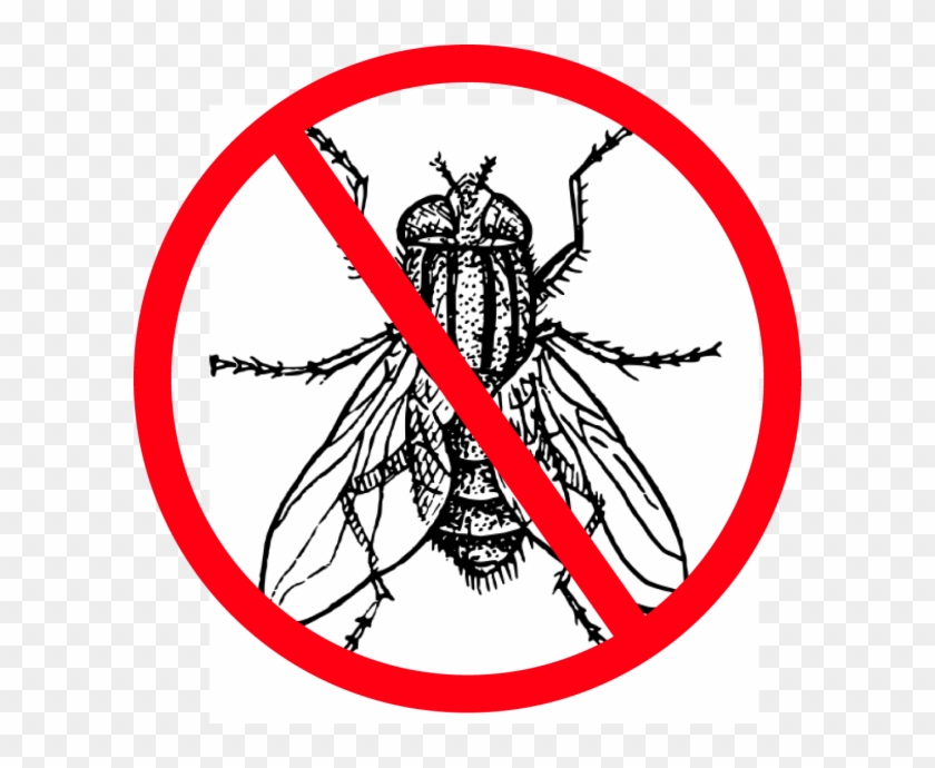 Faire Mouche - Housefly Black And White #1212077