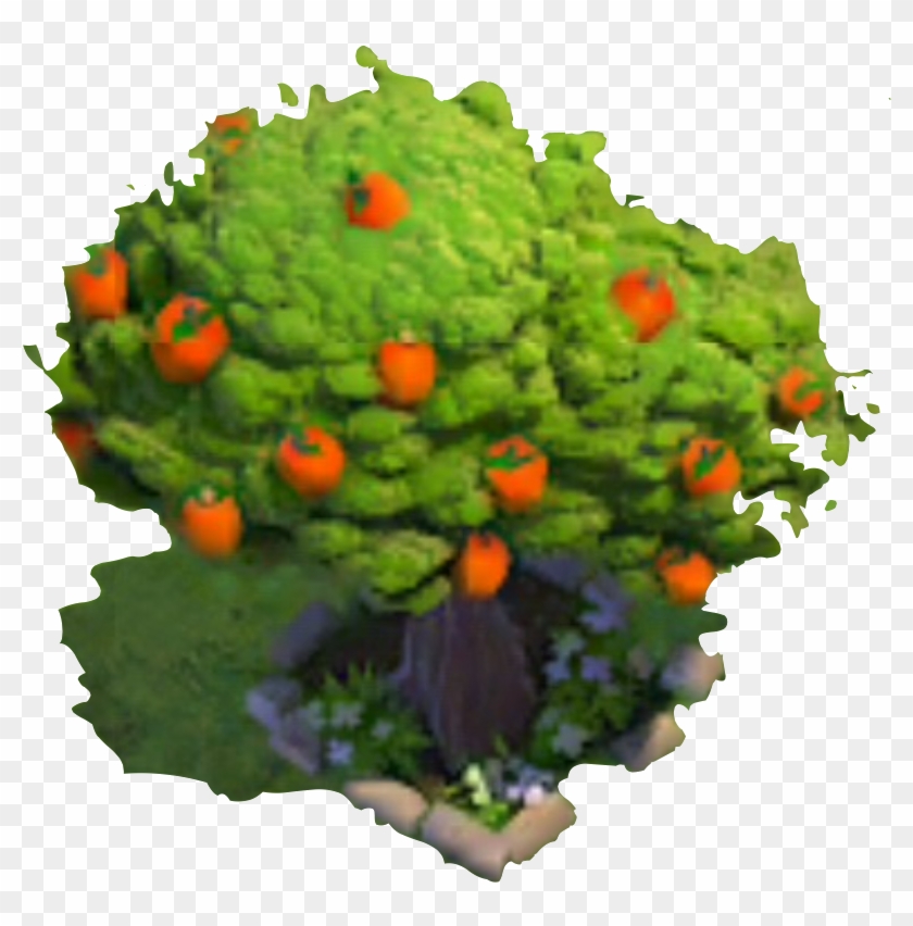 Fruit Tree - Png - Gourd #1212097