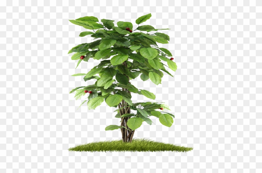 29 Jan 2015 - Small Tree Hd Png #1212101