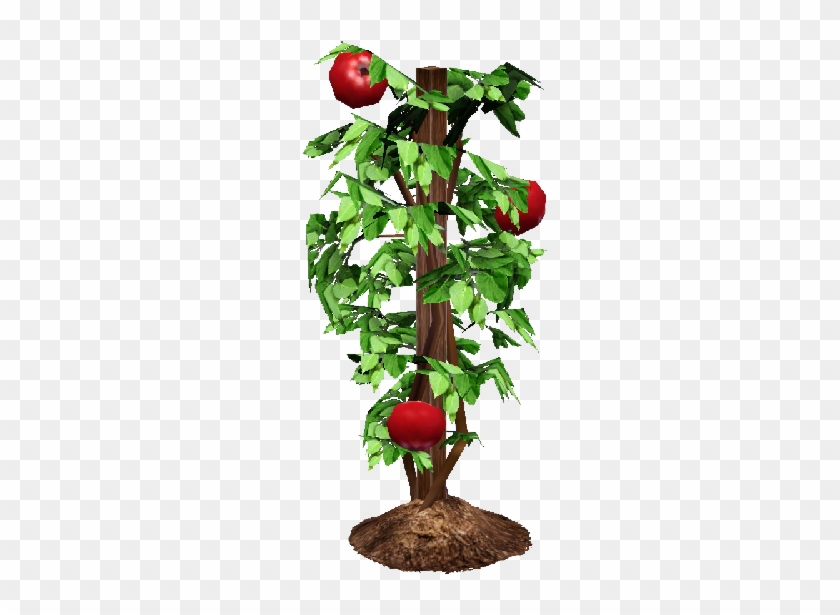Tomato Plant, Watermelon Vine - Cherry Tomato Plant Png #1212102