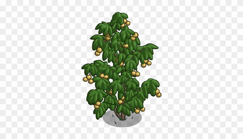 Longan2-icon - Longan Tree Farmville #1212110