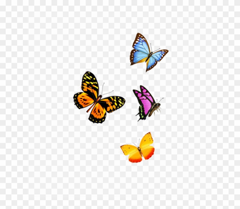 Flying Butterfly Png Image Background - Fly Butterfly Transparent Png #1212262