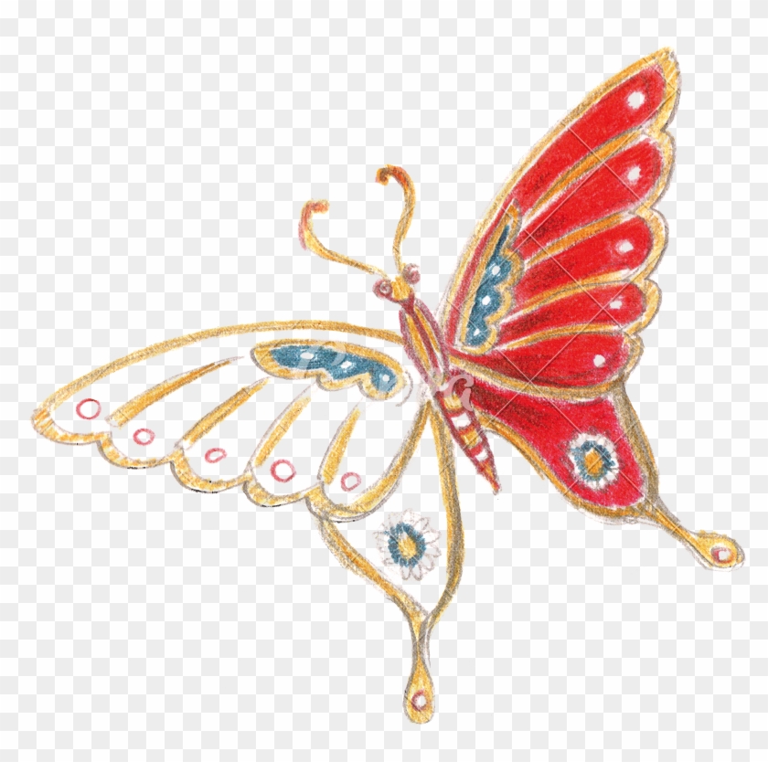 Butterfly - Swallowtail Butterfly #1212276