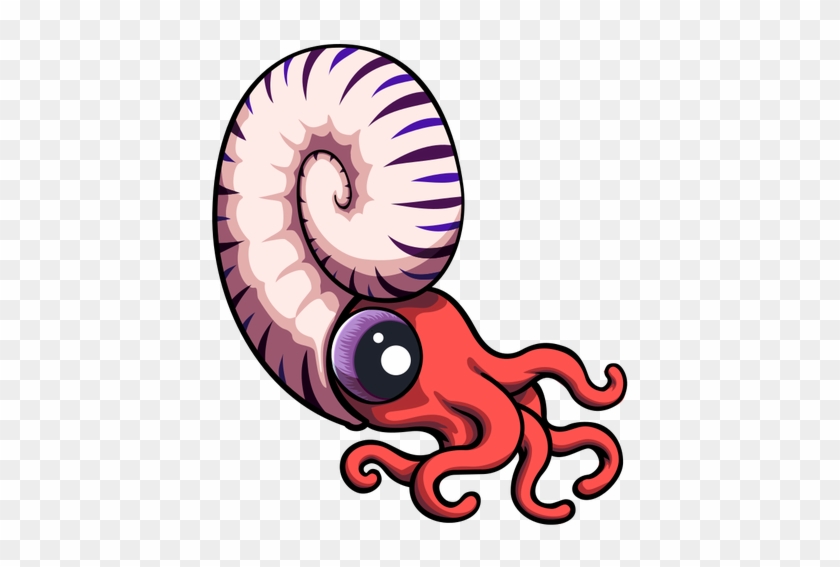Squid Clipart - Ammonite Clipart #1212345