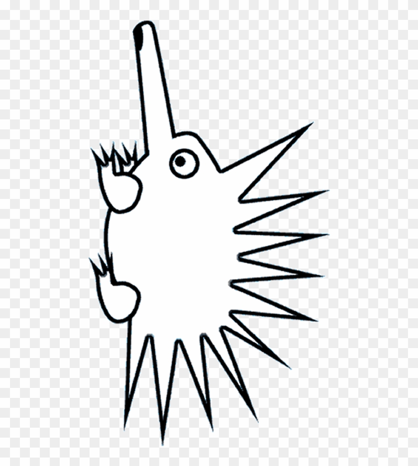 Short Beaked Echidna Fine Art Print - Echidna #1212915