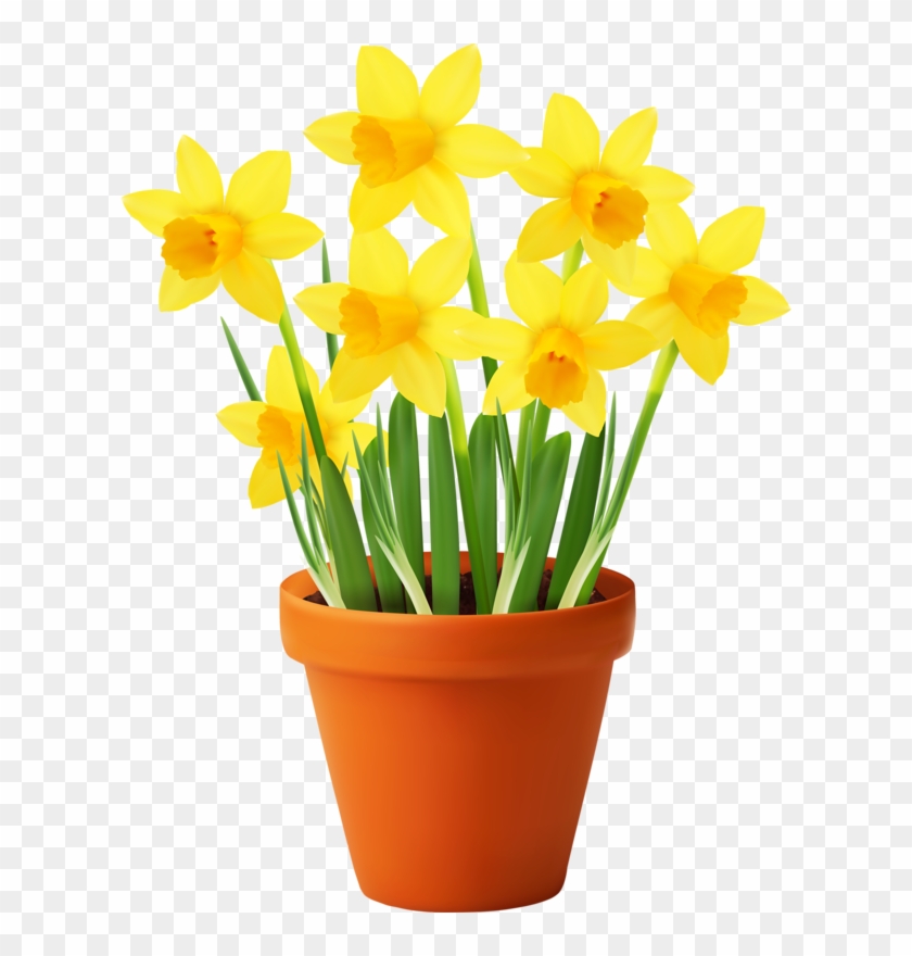 Publicat De Eu Ciresica La Flower Pot Garden Clipart Png Free