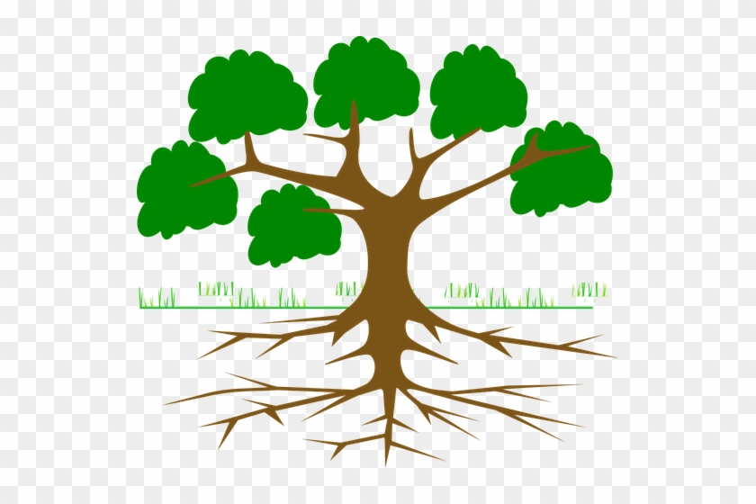 Sewer Problems Tree Roots - Digital Marketing Tree #1213287