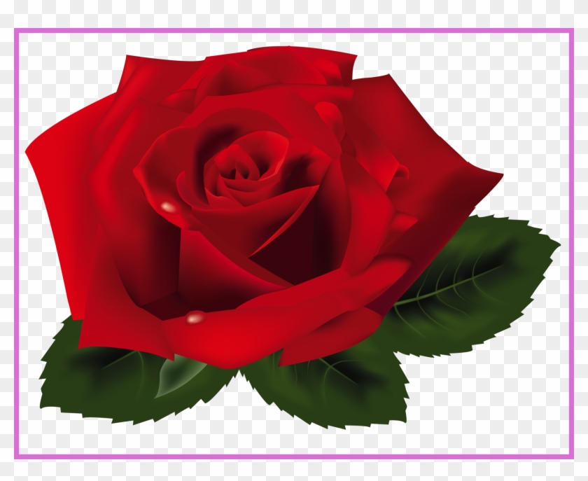 Unbelievable Red Rose Png Clipart Flowers And Image - Rose Png #1213413