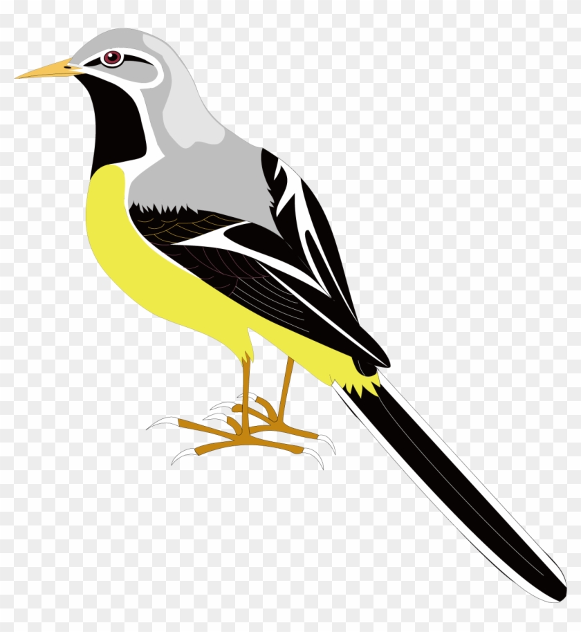Bird Clip Art - Transparent Mockingbird Clipart #1213484