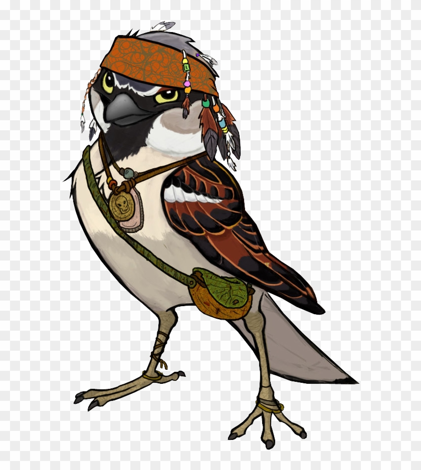 Sparrow - - Jack Sparrow - Free Transparent PNG Clipart Images Download