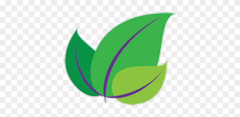 Palko Services - Palko Services #1213513