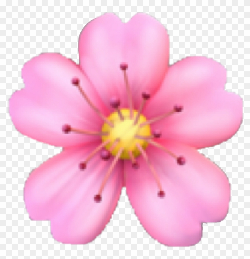 Emoji Pink Flower Emojiflowerremixit Cute Colorful - Pink Flower Emoji Png #1213928