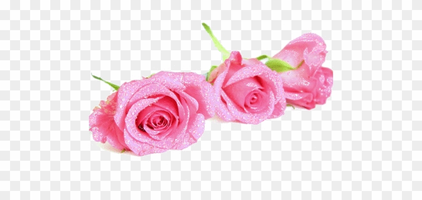 Pink Flower Tumblr Backgrounds Flower Png - Beautiful Pinl Rose Transparent #1213962