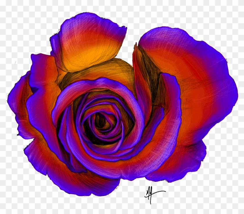 Rose Overhead Sketch Colour - Sketch #1214319