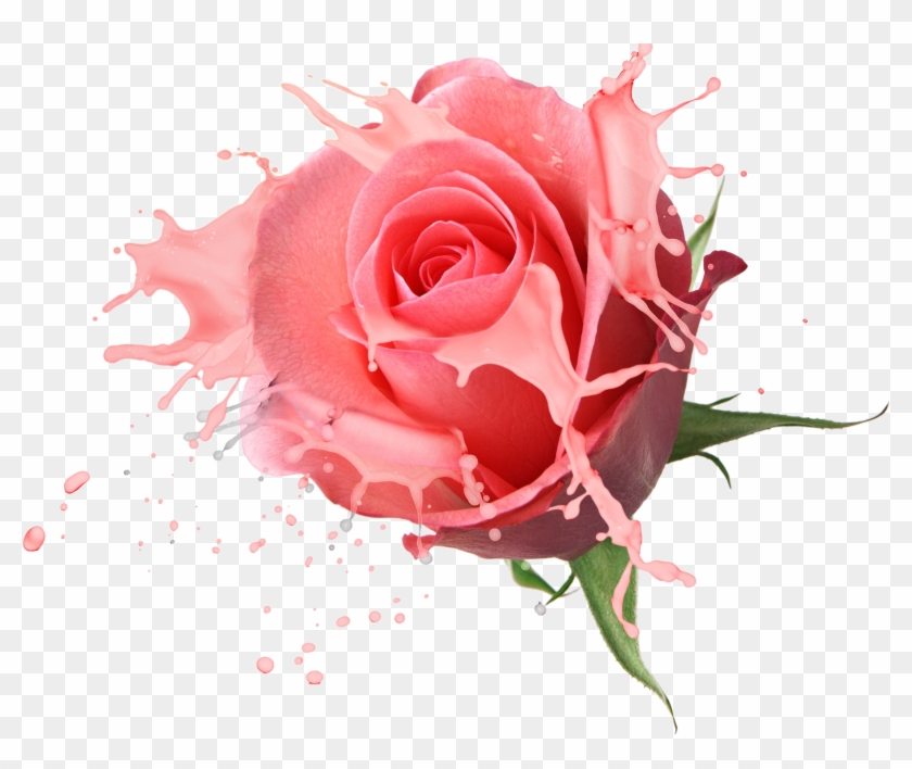 Flower Bouquet Rose Drawing Fl Design - Rose Psd #1214348