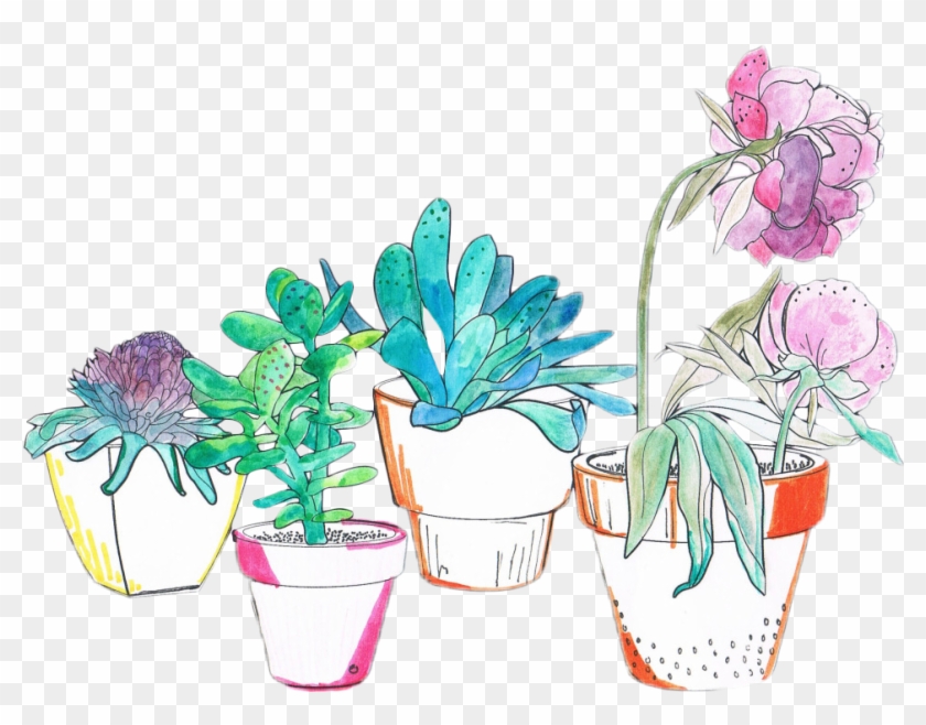 Art Watercolor Plants Cactus Succulent Flower Aesthetic - Aesthetic Plants Png #1214491
