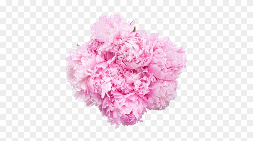 Transparent Transparent Gif Pink Aesthetic Flower Aesthetic - Flower Bouquet #1214497