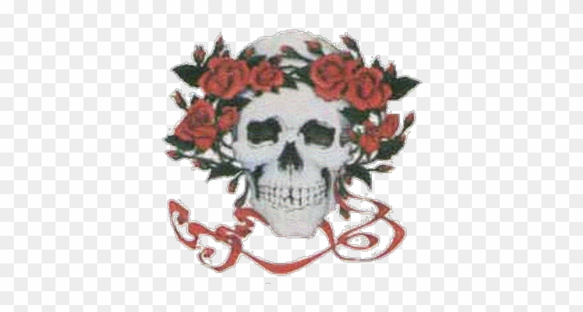 Dr Mark - Grateful Dead Skull And Roses #1214520