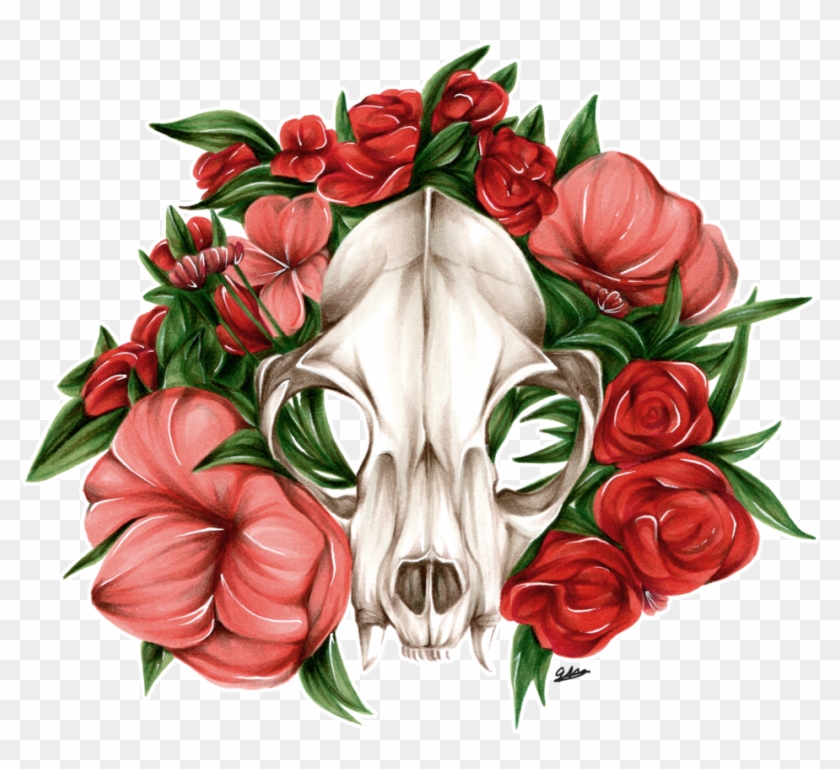 Bobcat Skull - Bobcat Skull #1214524