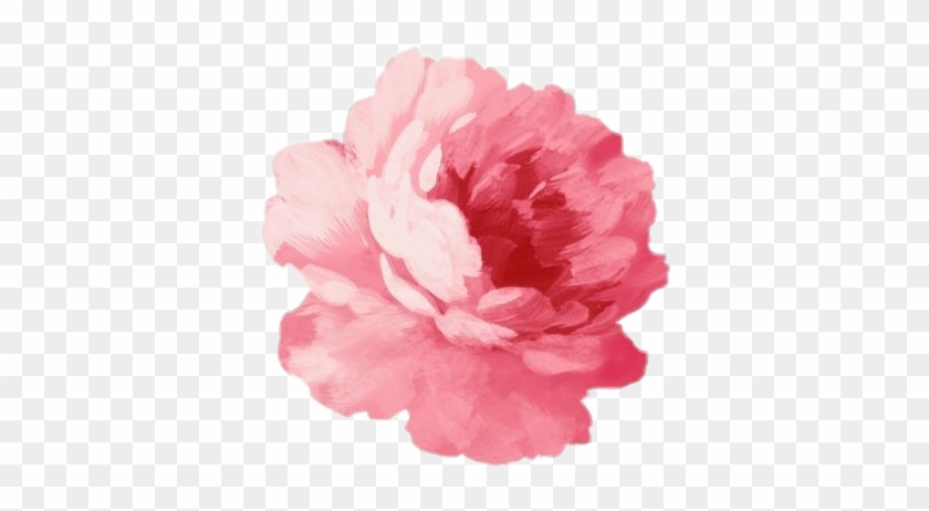 Pink Flower Png #1214726