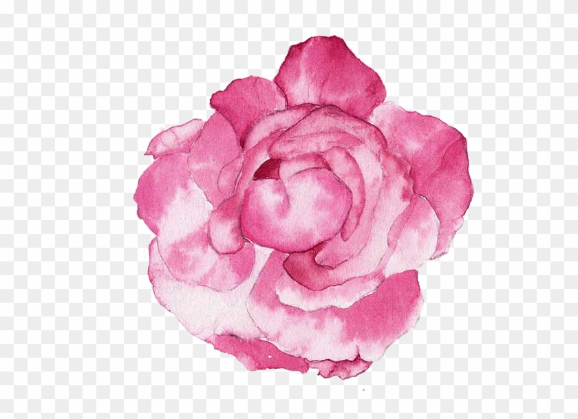 Watercolour Flowers Watercolor Painting Illustration - Pink Flowers Watercolor Png #1214763