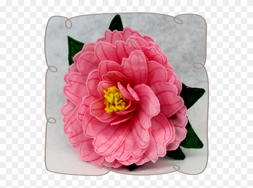 Peony #1214771