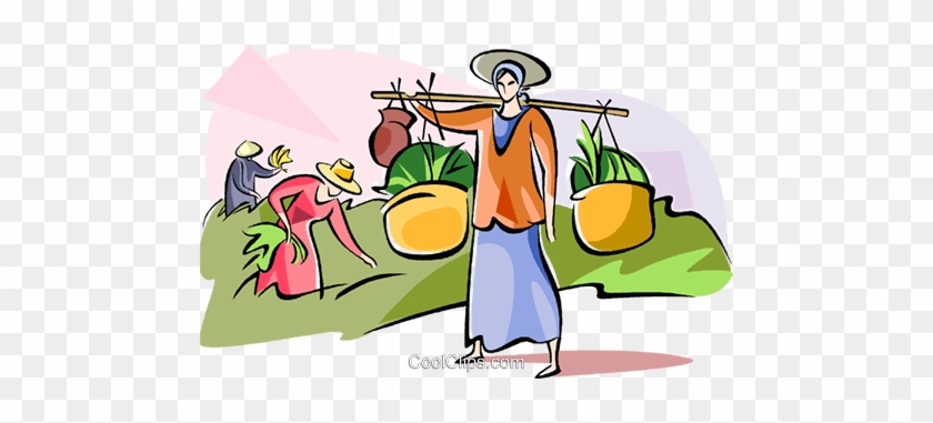 Woman Carrying Rice Plants Royalty Free Vector Clip - Cartoon #1214782