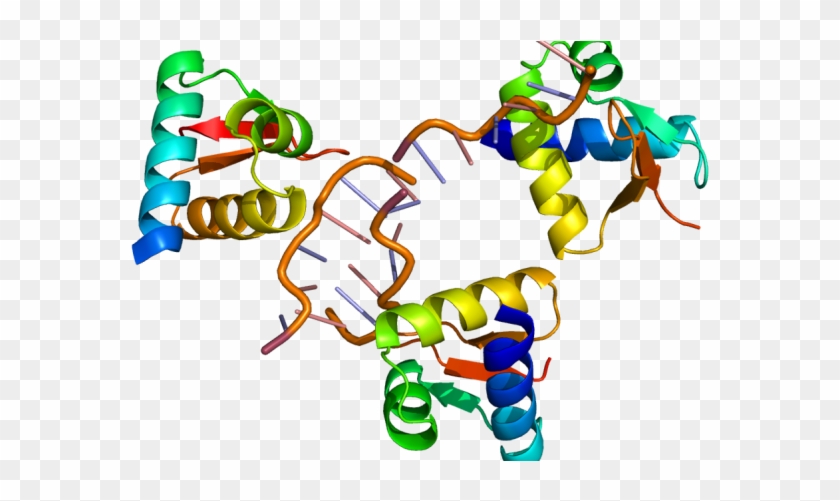 Gene Splicing - Adar Enzyme #1214877