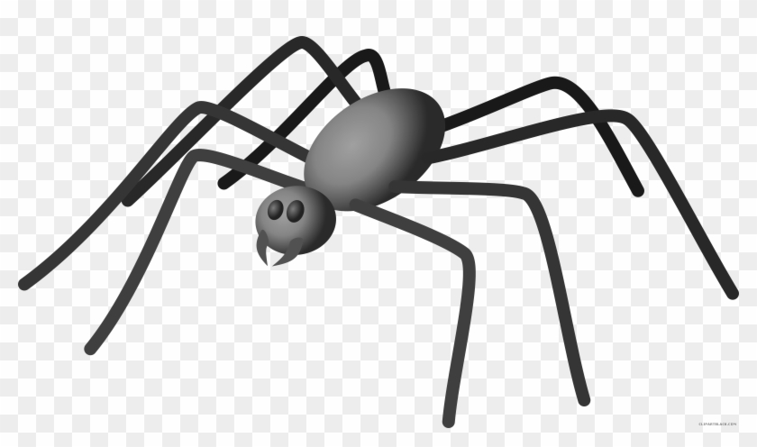 Spider Animal Free Black White Clipart Images Clipartblack - Cerita Lebah Dan Semut #1214908