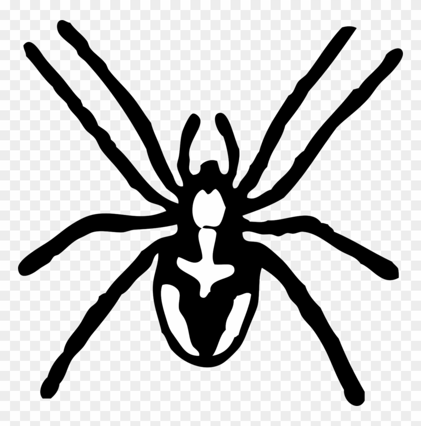 Spider Black And White Spider Clipart Black And White - Spider Clip Art #1214935