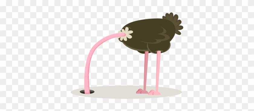 6 Signs A Manager Lacks Managerial Courage - Ostrich Hiding #1214991