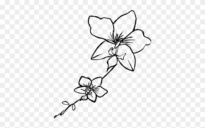 Orchid Drawing Png - Orchid Black And White Png #1215032