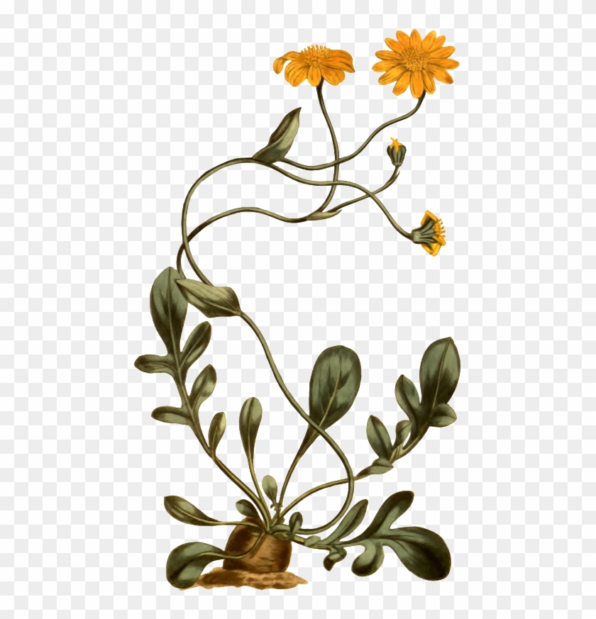 Medium Image - Medium Image #1215213