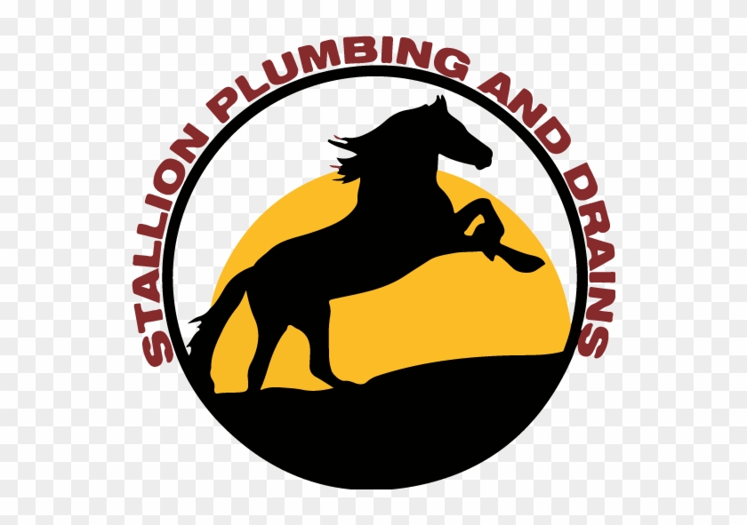 Location - Stallion Plumbing And Drains #1215363