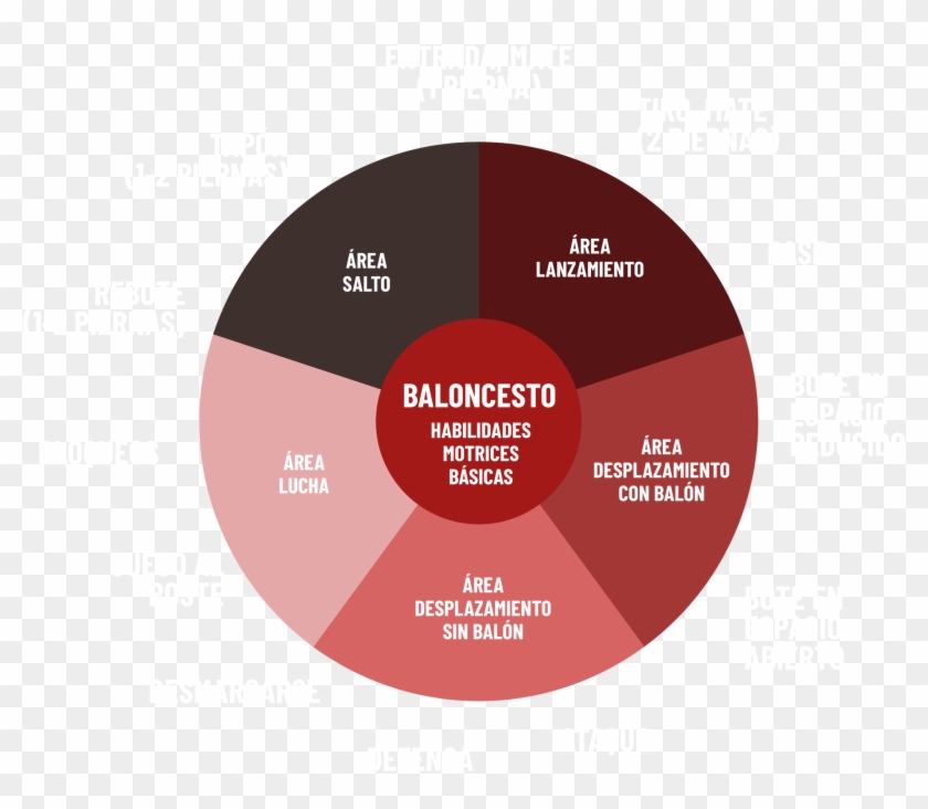 Está Es La Propuesta Del Pastel De Las Áreas Y Contenidos - Knights Of Columbus #1215369