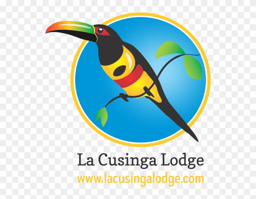 La Cusinga Lodge - Piciformes #1215658