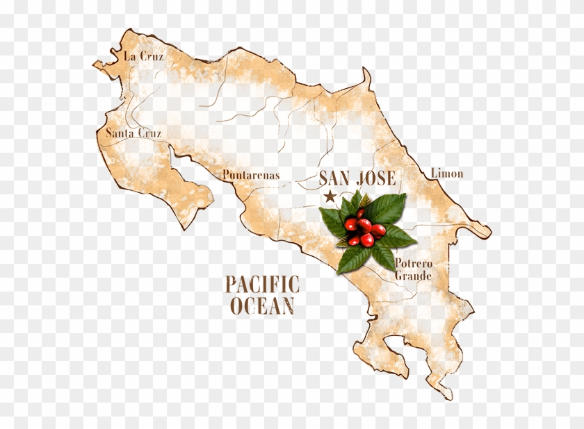 Costa Rica Coffee Map #1215671