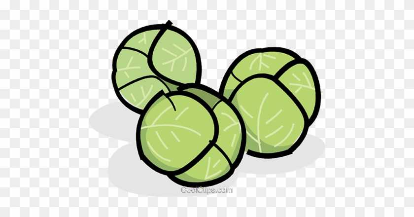 Brussel Sprout Clipart - Brussel Sprouts Clip Art #1216009