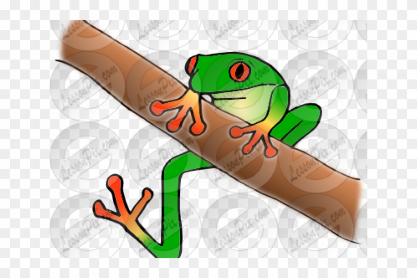 Red Eyed Tree Frog Clipart - Frog #1216053