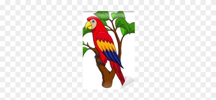Parrot Jungle Clipart #1216162