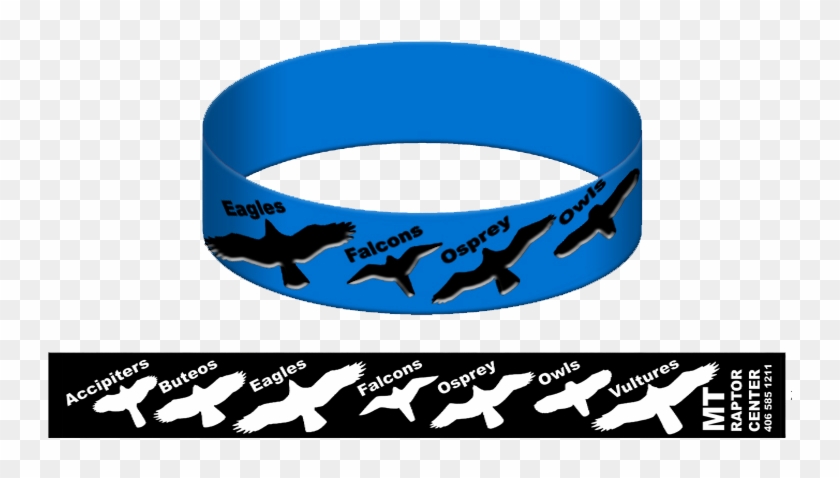 Raptor Identification Band - Shark #1216252