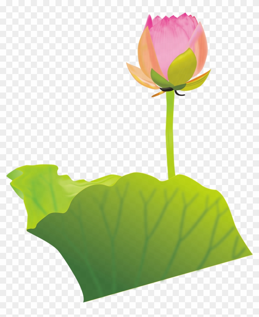 Buddhism Clip Art - ดอกบัว รูป พระพุทธ ศาสนา Png #1216281