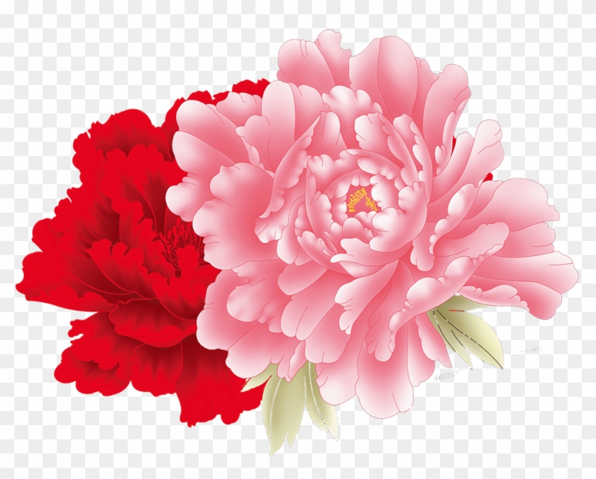 Moutan Peony Flower Icon - Flower Icon Png #1216763